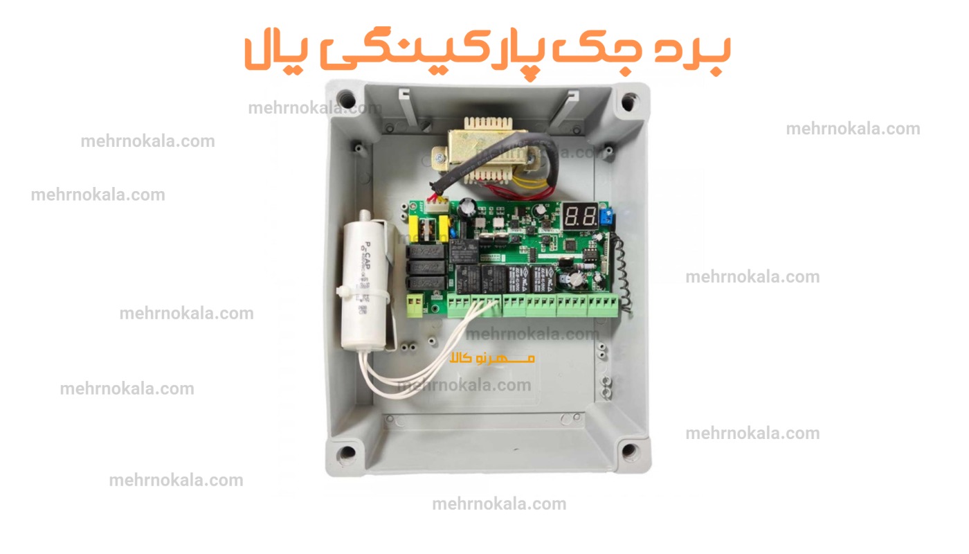 برد جک یال