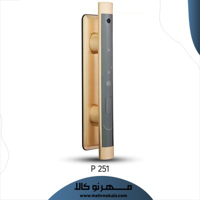 قیمت و خرید دستگیره دیجیتال روکp251