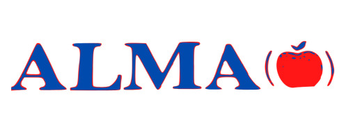 نمایندگی تیغه الما